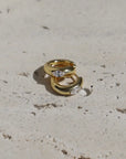 Arum Gold Hoops