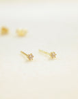 Tiny Prong Stud Earrings Earrings P&K Yellow gold
