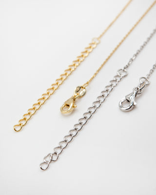 Dainty Lucky Horn Necklace