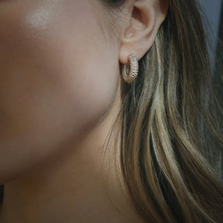 Cenie Pave Hoops Earrings Mod + Jo   