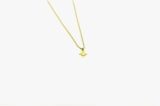 Dainty Star Choker Necklaces P&K Gold  