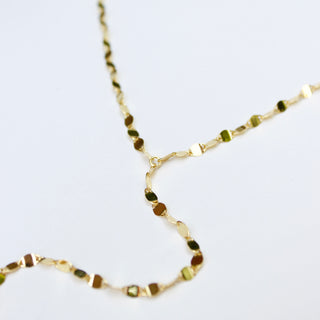 Sparkling Coin Lariat Necklaces P&K   