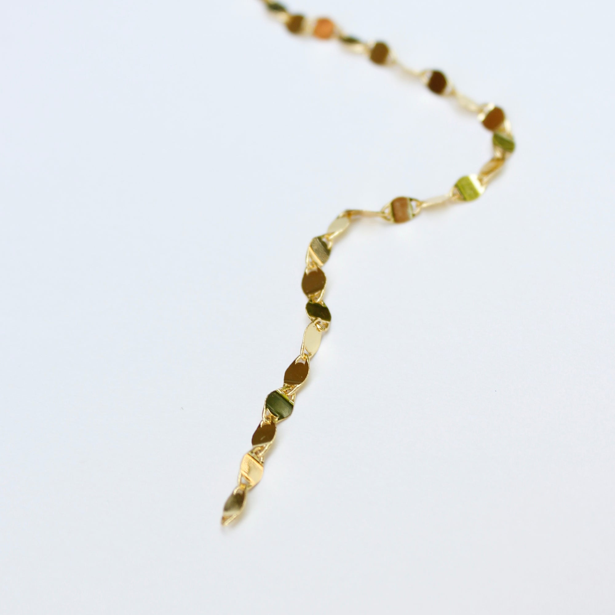 Sparkling Coin Lariat Necklaces P&K   