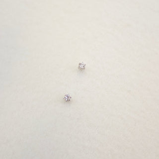 Tiny Prong Stud Earrings Earrings P&K Silver  