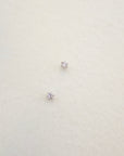 Tiny Prong Stud Earrings Earrings P&K Silver  