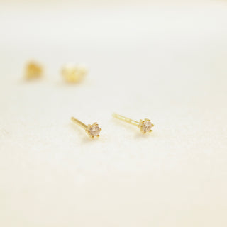 Tiny Prong Stud Earrings Earrings P&K Yellow gold  