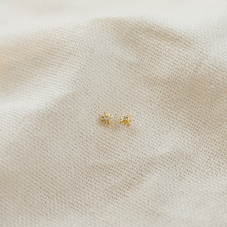 Shining Star Stud Earrings Earrings P&K Yellow Gold  