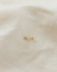 Shining Star Stud Earrings Earrings P&K Yellow Gold  