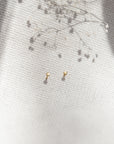 Tiny Dot Stud Earrings Earrings P&K Yellow Gold  