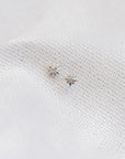 Shining Star Stud Earrings Earrings P&K Silver  